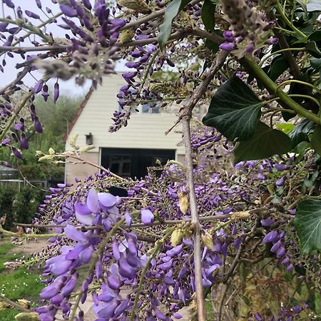 Villa De Bosrand Grenzend Aan Het Bos Castricum Exterior foto