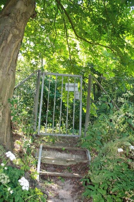 Villa De Bosrand Grenzend Aan Het Bos Castricum Exterior foto