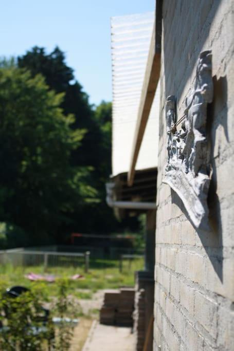 Villa De Bosrand Grenzend Aan Het Bos Castricum Exterior foto