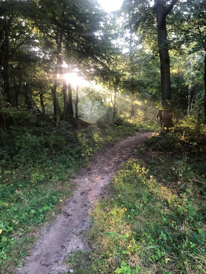 Villa De Bosrand Grenzend Aan Het Bos Castricum Exterior foto
